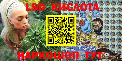 дурь Шелехов